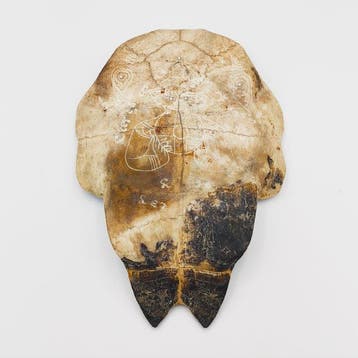 Oude Indochinese kuststammen Shell XL Monster-talisman