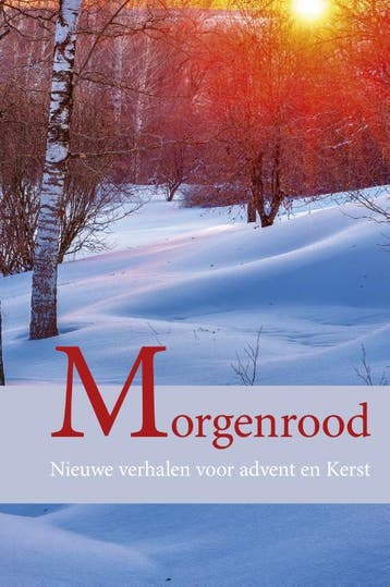 Morgenrood 9789087181185 Janny den Besten, Verzenden, Zo goed als nieuw, Janny den Besten