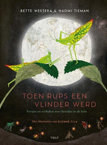Toen rups een vlinder werd - Bette Westera 9789021424262, Verzenden, Gelezen, Bette Westera