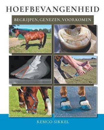 Hoefbevangenheid - Remco Sikkel 9789082519174, Verzenden, Gelezen, Remco Sikkel
