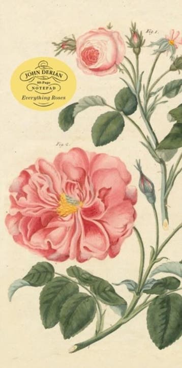 John Derian Paper Goods: Everything Roses Notepad |, Ophalen of Verzenden, Zo goed als nieuw, John Derian