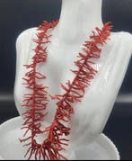 Bloedkoraal Koraal - Corallo Mediterraneo (Zonder, Antiek en Kunst