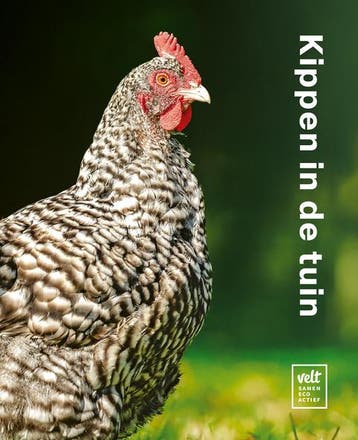 Kippen In De Tuin | Geert Gommers; Johan Deblaere | Nieuw, Ophalen of Verzenden, Nieuw, Geert Gommers; Johan Deblaere