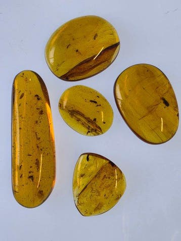 Birmese barnsteen - Barnsteen - Lot of 5 Burmese Amber