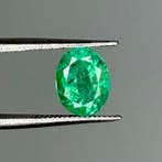 Zonder minimumprijs Groen Smaragd - 1.74 ct - International, Nieuw