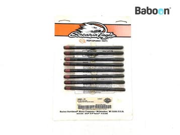 Bouten en Moeren Harley-Davidson Big Twins 1984-1991 Evo, Verzenden, Gebruikt