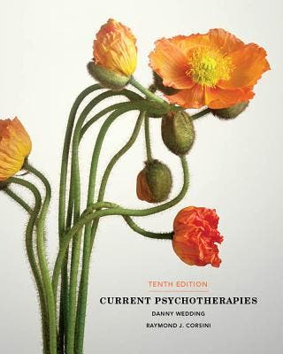 Current Psychotherapies 9781285083711, Boeken, Zo goed als nieuw