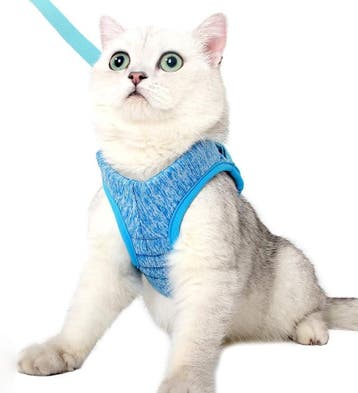 Kattentuigje Lichtgewicht | Ademend Mesh | Tweedekansje O..., Ophalen of Verzenden, Nieuw