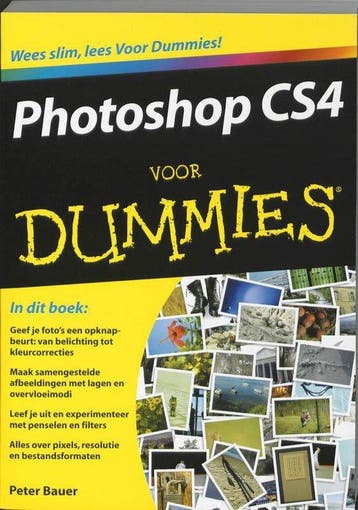Voor Dummies - Bauer, Verzenden, Gelezen
