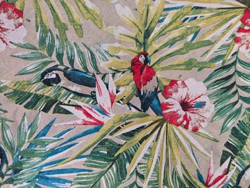 San Leucio-esclusiva tessuto tropici con pappagalli