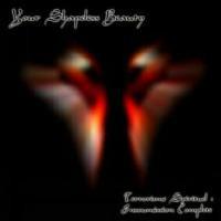 cd - Your Shapeless Beauty - Terrorisme Spirituel Insoumi..., Verzenden, Zo goed als nieuw