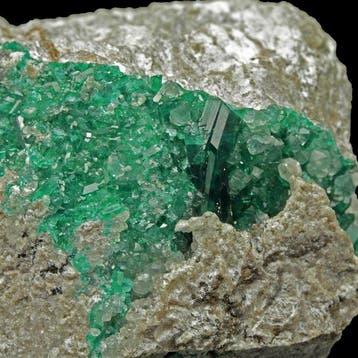 smaragdgroene dioptase Kristallen op matrix - Hoogte: 5.5 cm, Verzamelen