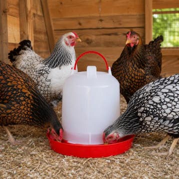 Drinkklok voor pluimvee met handvat 6 liter, Dieren en Toebehoren, Verzenden, Nieuw
