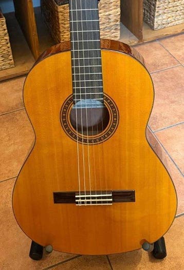 Yamaha - CG-101 - - Klassieke gitaar - Taiwan - 2002 (Zonder, Nieuw