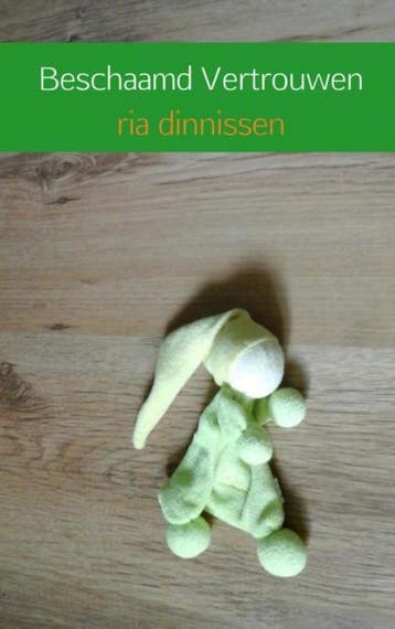 Beschaamd vertrouwen - Ria Dinnissen 9789402139914, Boeken, Thrillers, Verzenden, Gelezen, Ria Dinnissen