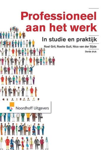 9789001853303 Professioneel aan het werk | Tweedehands, Verzenden, Zo goed als nieuw, Roel Grit