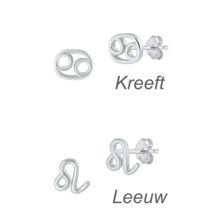 Zilveren mini sterrenbeeld oorstekers, Sieraden, Tassen en Uiterlijk, Oorbellen, Nieuw, Verzenden