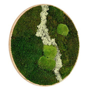 Vintlux Mosschilderij Rond 100 cm Ongelakt Eiken - Uppsala, Nieuw
