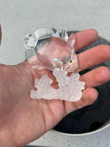 Swarovski - Figuur - Butterfly Fish -on coral - 162888 - Box