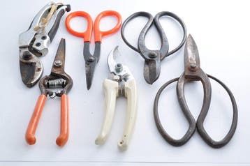 Japanese Gardening & Pruning Shears – Traditional Tool