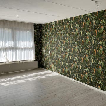 Appartement in Assen gevonden voor €205,- pm, Huizen en Kamers, Huizen te huur, Direct bij eigenaar, Assen, Appartement, Drenthe