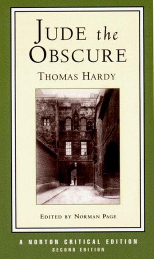 Jude the Obscure 9780393972788 Thomas Hardy, Boeken, Taal | Engels, Gelezen, Verzenden