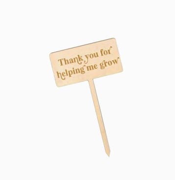 Plantenprikker juf meester - Thank you for helping me gro..., Ophalen of Verzenden, Nieuw
