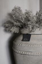Brynxz Corokia bos Grey wash 42 cm, Ophalen of Verzenden, Nieuw