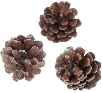 Oostenrijker dennenappel pinus nigra antique zilverwash 6, Ophalen of Verzenden, Nieuw