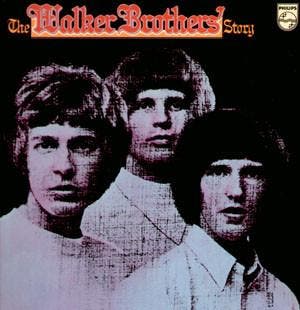 Walker Brothers, The - The Walker Brothers Story, Ophalen of Verzenden, Gebruikt