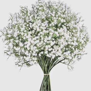 Kunst Gipsenkruid Bloemen (Gypsophila) - 63cm - Decoratie vo, Verzenden, Nieuw