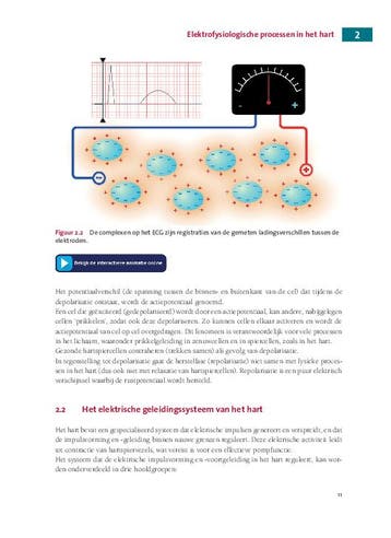 Klinische interpretatie van ECGs 9789043035606, Boeken, Verzenden, Zo goed als nieuw