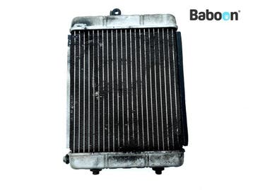 Radiateur Can-Am Spyder GS 2008-2009 SM5, Motoren, Verzenden, Gebruikt