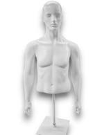 Torso heren 1/2 model met armen white N73005-563