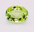 1 pcs Groen, Geel Paraiba toermalijn - 13.08 ct -, Nieuw