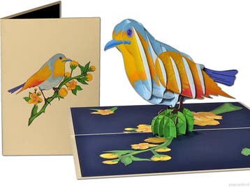 Kleurrijke Siervogel - Pop-up wenskaart vogel, Verzenden, Nieuw