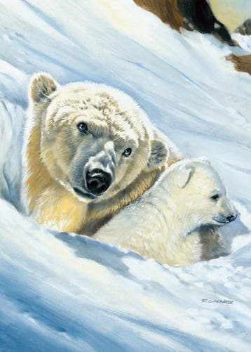 Kunstdruk Renato Casaro - Eisbär-Mama 50x70cm, Verzenden, Nieuw