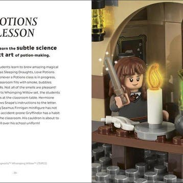 LEGO Harry Potter The Magical Guide to the Wizarding World, Verzenden, Gelezen, Dk