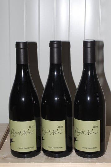 2022 Daniel Twardowski Pinot Noix Spätburgunder 3rd - Moezel, Nieuw