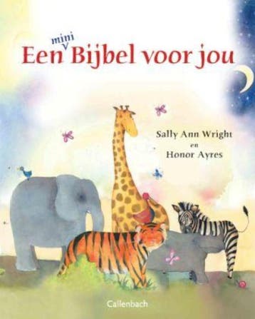 Een bijbel voor jou - Sally Ann Wright 9789026620416, Boeken, Verzenden, Gelezen, Sally Ann Wright