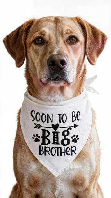Honden bandana Soon to be Big Brother Tribal, Ophalen of Verzenden, Nieuw
