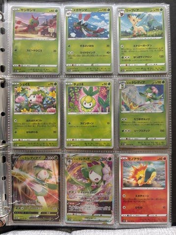 Pokémon Compleet album - Sword & Shield, Nieuw