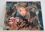 Lord of the Rings - Sylvester Mccoy (Radagast) - Autograph,, Nieuw