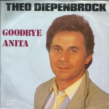 vinyl single 7 inch - Theo Diepenbrock - Goodbye Anita, Verzenden, Zo goed als nieuw, 7 inch, Nederlandstalig