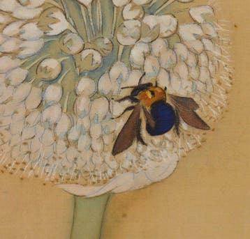 Japanse hangende rol - Uienbloemen en Bij - Zijde - Shik, Antiek en Kunst