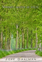 Verdriet achter de stilte 9789491254857 Joke Daalman, Verzenden, Gelezen, Joke Daalman