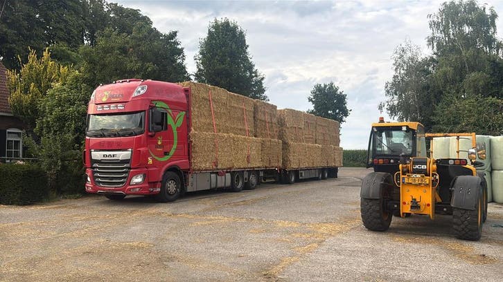 Topkwaliteit stro | Tarwe en Gerst | Scherpe prijs, Dieren en Toebehoren, Dierenvoeding, Vee, Ophalen of Verzenden