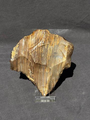 Paleolithisch Levallois-Kern / Vuistbijl van Gestreepte