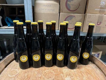 Westvleteren - twaalf - 33cl - 12 flessen, Nieuw