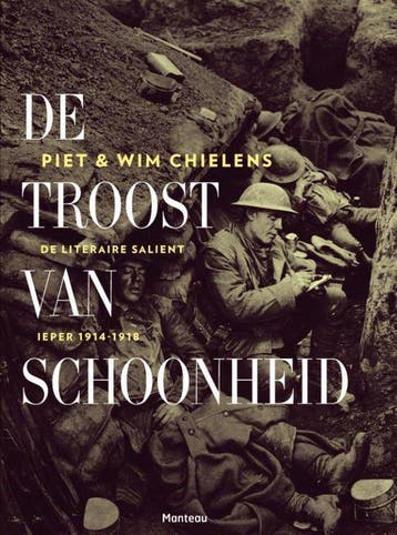 9789022330746 De troost van schoonheid | Tweedehands, Verzenden, Zo goed als nieuw, Piet Chielens